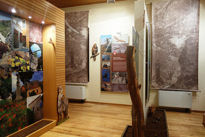 Δάσος Κάστανων & Κέντρο Περιβαλλοντικής Ενημέρωσης